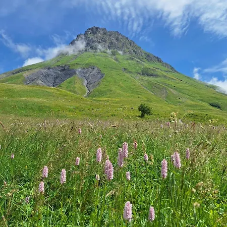 For 6 To 8 People In 5-min Walk From The Slopes Apartment Albiez-Montrond